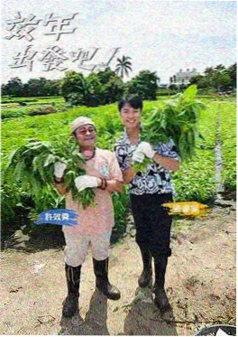 父母爱情电视剧海报